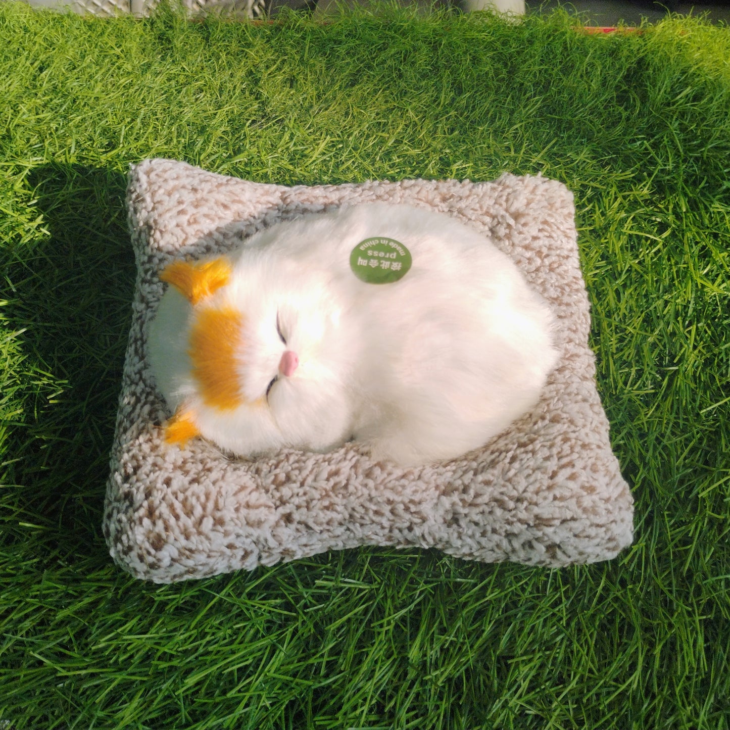 Sleeping cat on pillow