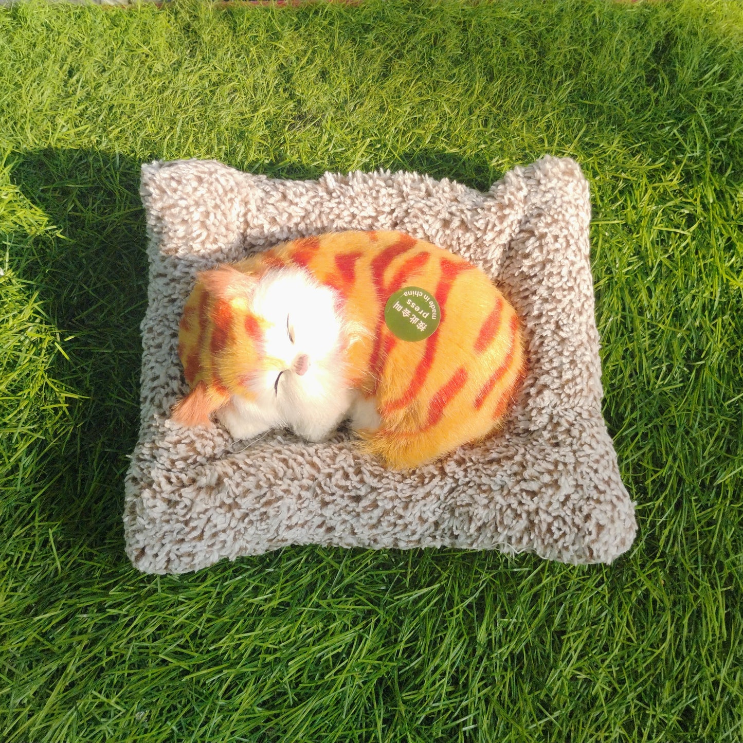 Sleeping cat on pillow