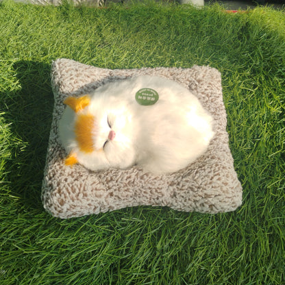 Sleeping cat on pillow