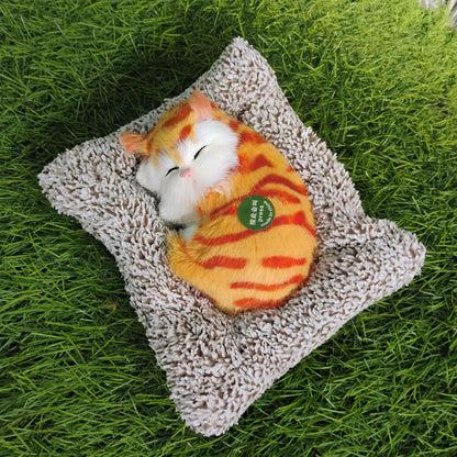 Sleeping cat on pillow