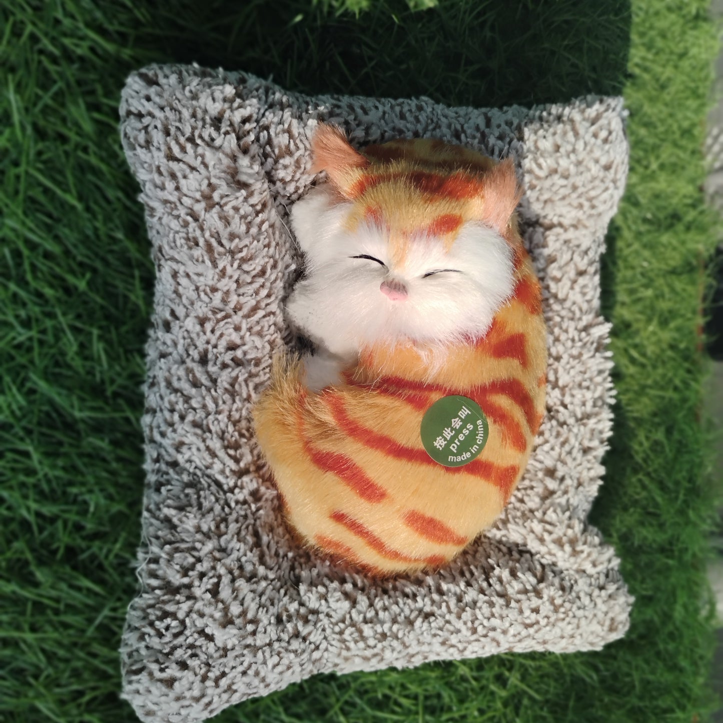 Sleeping cat on pillow