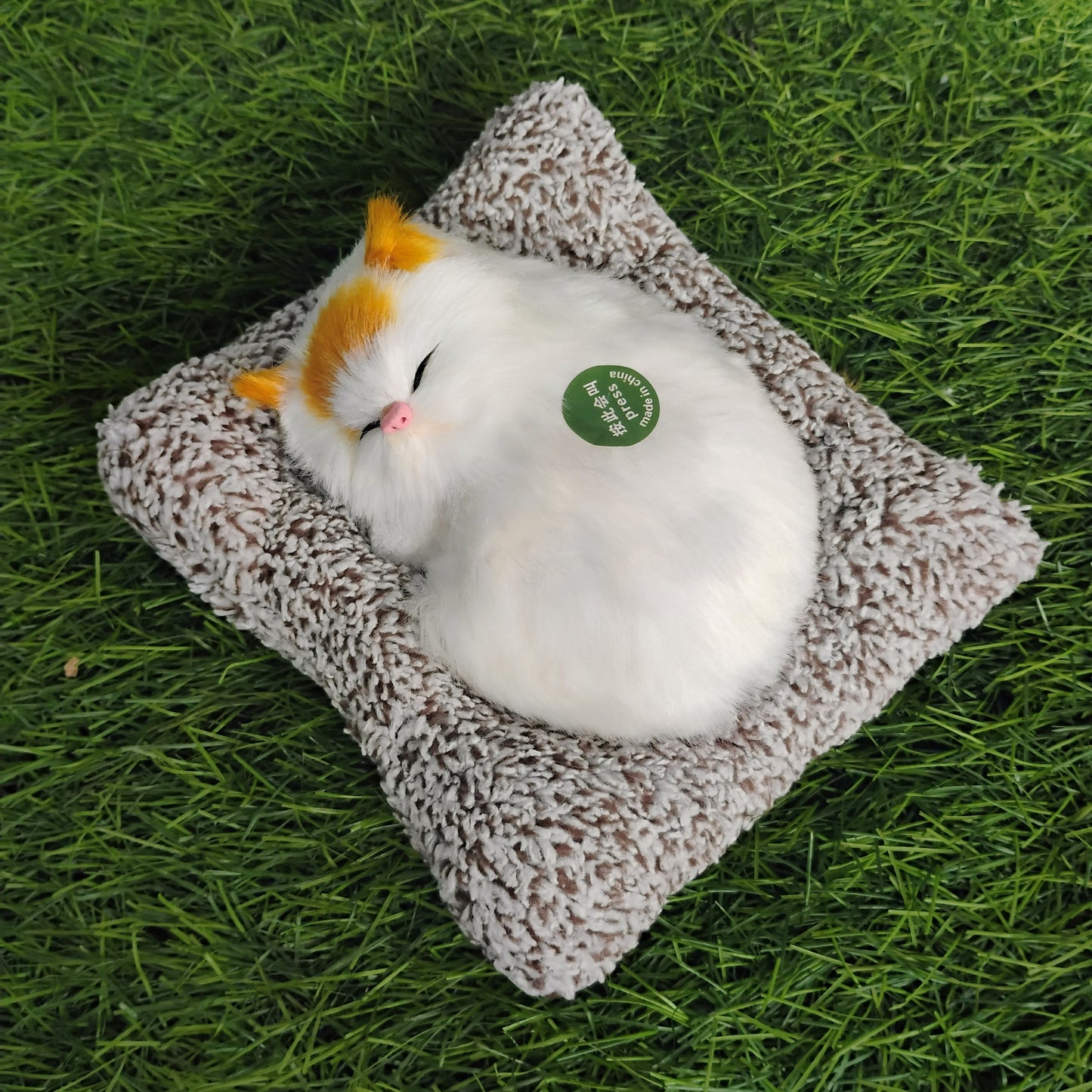 Sleeping cat on pillow