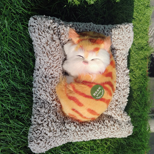 Sleeping cat on pillow