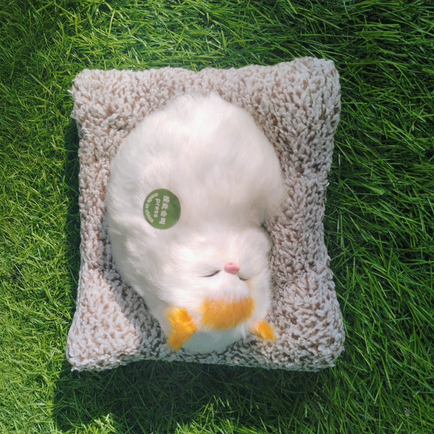 Sleeping cat on pillow