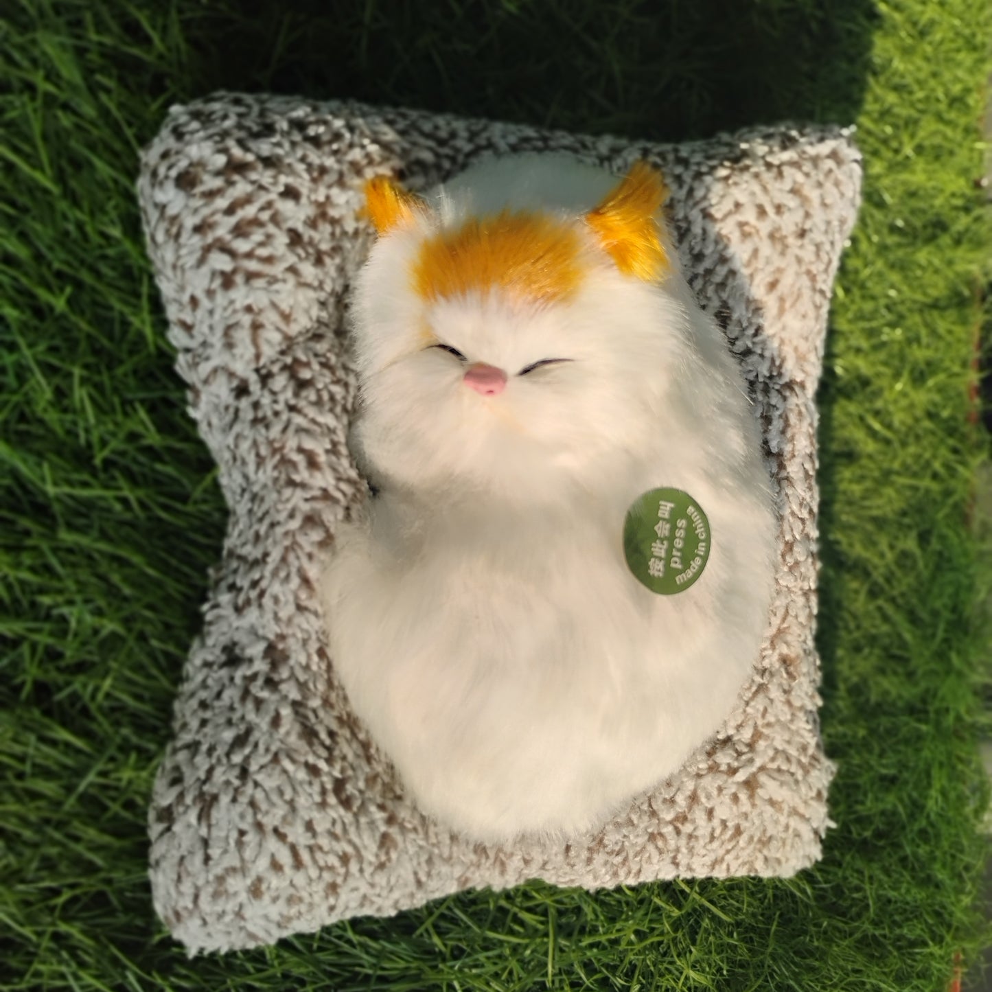 Sleeping cat on pillow
