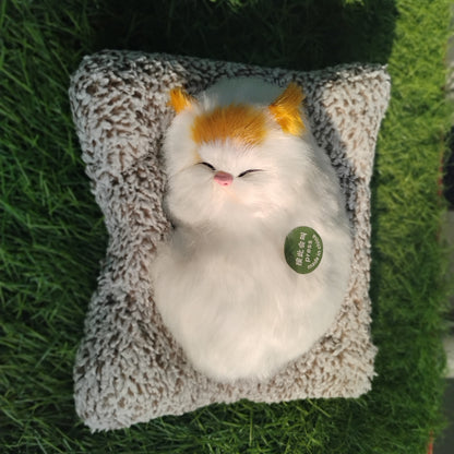 Sleeping cat on pillow
