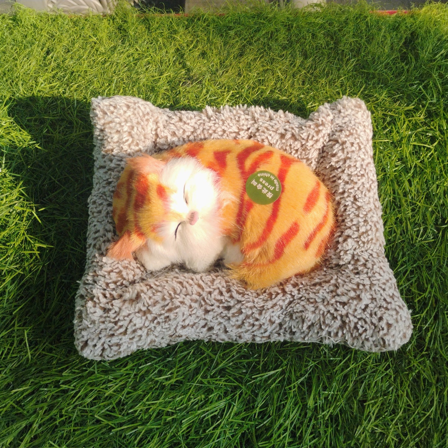 Sleeping cat on pillow
