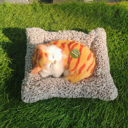 Sleeping cat on pillow